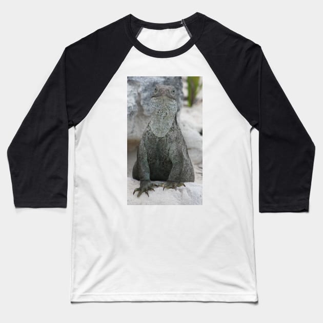 Iguana Baseball T-Shirt by croper